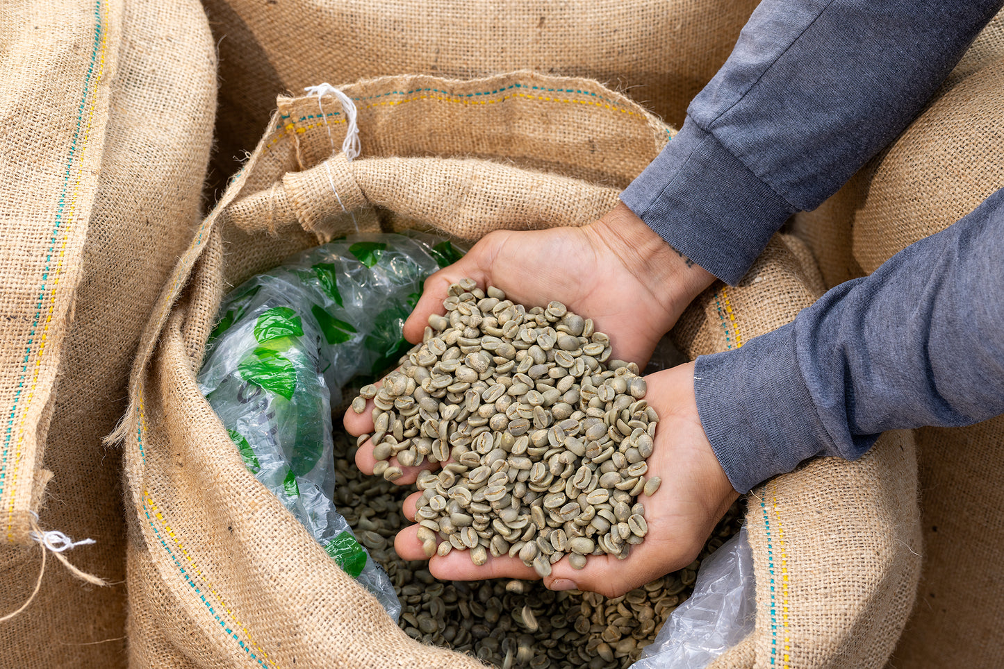 100% Kona Coffee Green Estate Beans for Home Roasters - Hawai'i State Certified