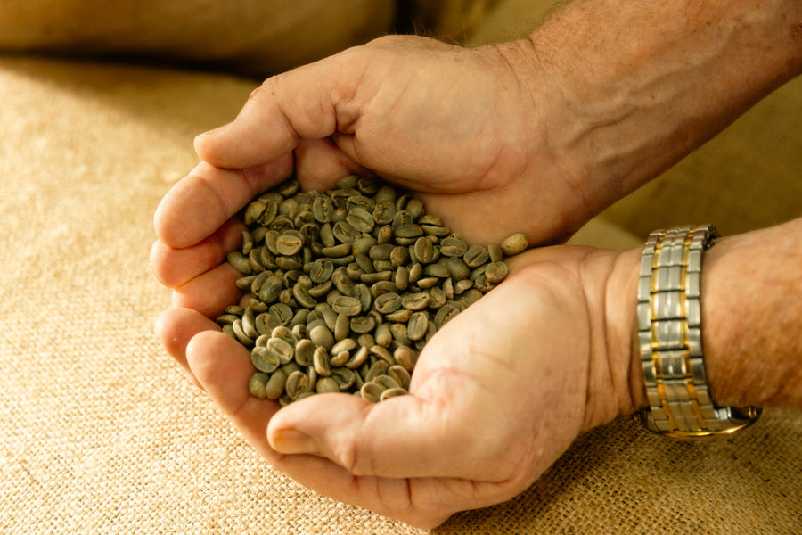 Green Bean Coffee