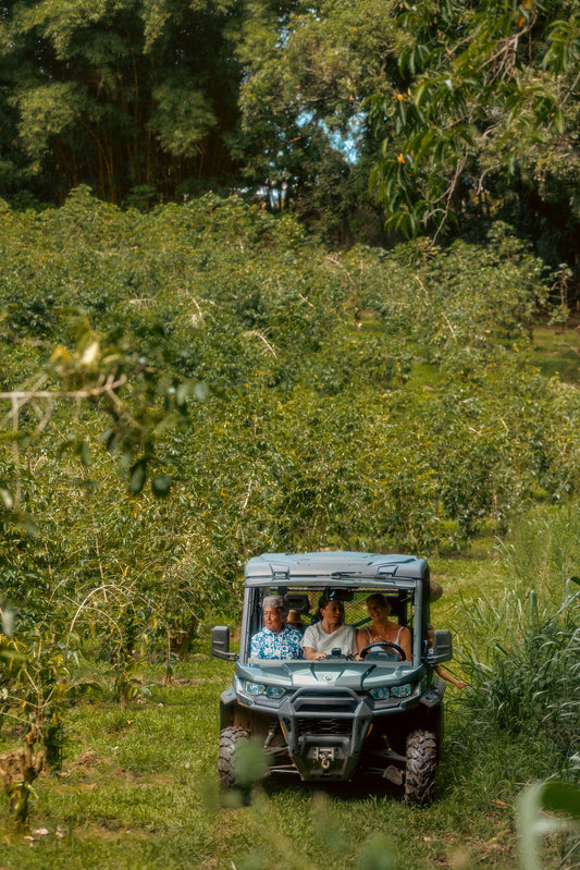 Farm Tour